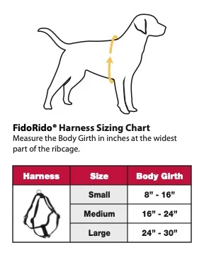 FidoRidoSizingChart.webp