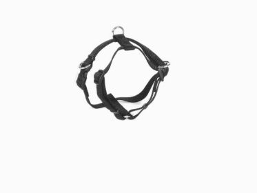 FidoRido Harness (Medium)