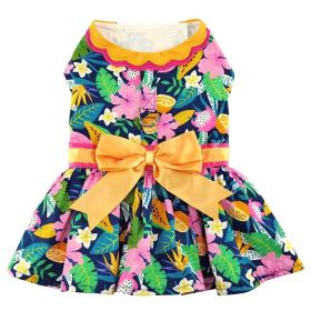 Fiesta Floral Dog Dress with Matching Leash (Color: Raspberry Sorbet: small)