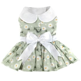 Mint Green Daisy Dog Dress with Matching Leash (Color: Raspberry Sorbet: X-Small)