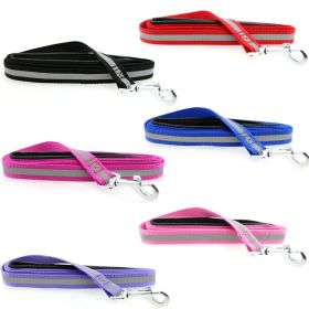 Reflective Nylon Leash with Soft Grip Handle (Color: Blue Gingham: Raspberry Pink, Color: Raspberry Sorbet: 3/4 in. Wide x 5 ft. Long)