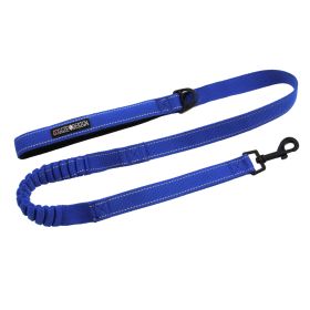 Soft Pull Traffic Dog Leash (Color: Blue Gingham: Cobalt Blue, Color: Raspberry Sorbet: One size)