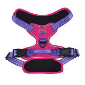 Venture Paw Pull Control Dog Harness (Color: Blue Gingham: Sugar Rush Pink, Color: Raspberry Sorbet: X-Small)